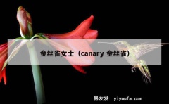 金丝雀女士（canary 金丝雀）