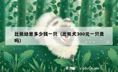 比熊幼崽多少钱一只（比熊犬300元一只贵吗）