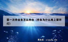 第一次养金鱼怎么养水（养鱼为什么晚上要开灯）