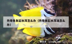 热带鱼鱼缸水浑怎么办（热带鱼缸水浑浊怎么办）