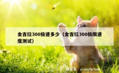 金吉拉300极速多少（金吉拉300极限速度测试）