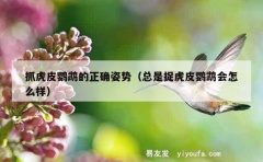 抓虎皮鹦鹉的正确姿势（总是捉虎皮鹦鹉会怎么样）