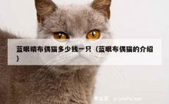 蓝眼睛布偶猫多少钱一只（蓝眼布偶猫的介绍）