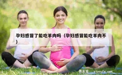 孕妇感冒了能吃羊肉吗（孕妇感冒能吃羊肉不）