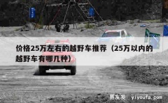 价格25万左右的越野车推荐（25万以内的越野车有哪几种）