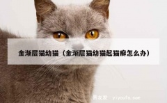 金渐层猫幼猫（金渐层猫幼猫起猫癣怎么办）