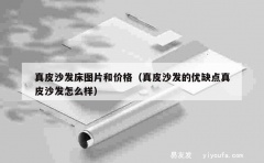 真皮沙发床图片和价格（真皮沙发的优缺点真皮沙发怎么样）