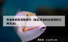 养金鱼的方法和技巧（鱼缸浑浊的水变清的三种方法）