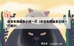 杂交布偶猫多少钱一只（杂交布偶猫多少钱一只图片）