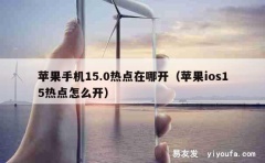 苹果手机15.0热点在哪开（苹果ios15热点怎么开）