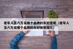 老年人五六万买哪个品牌的车好些呢（老年人五六万买哪个品牌的车