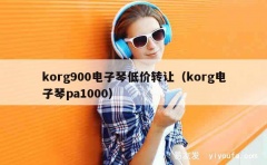 korg900电子琴低价转让（korg电子琴pa1000）