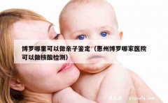 博罗哪里可以做亲子鉴定（惠州博罗哪家医院可以做核酸检测）