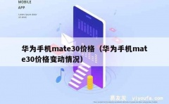 华为手机mate30价格（华为手机mate30价格变动情况）