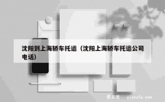 沈阳到上海轿车托运（沈阳上海轿车托运公司电话）