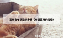 蓝双色布偶猫多少钱（布偶蓝双的价格）