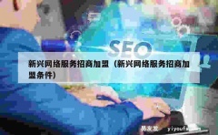 新兴网络服务招商加盟（新兴网络服务招商加盟条件）