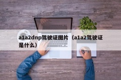 a1a2dnp驾驶证图片（a1a2驾驶证是什么）