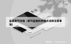 盆栽紫竹价格（紫竹盆栽的养殖方法和注意事项）